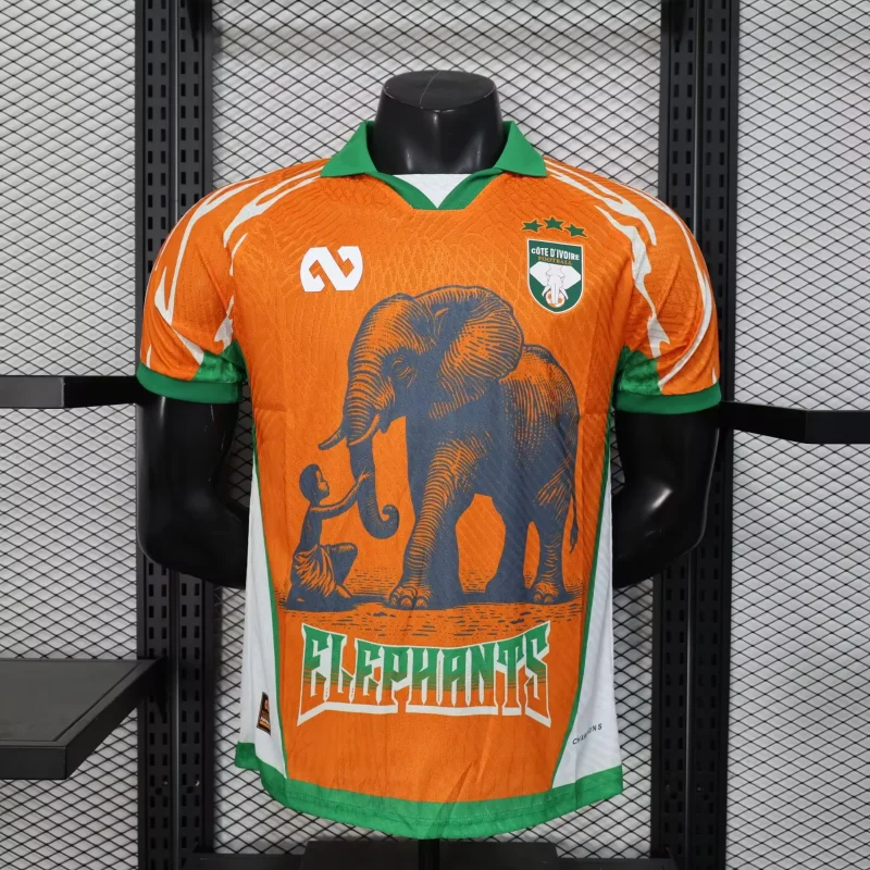5976ff37db4bfb11a57672d6569a75c0 2026 Player Version Ivory Coast Football Shirt 1:1 Thai Quality