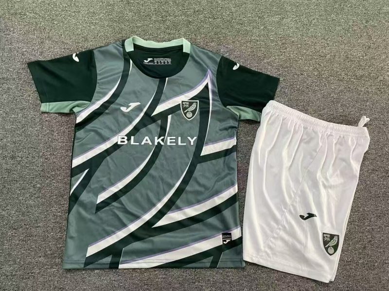 2025/2026 Norwich City  Away  Football Shirt Kids Size 1:1 Thai Quality