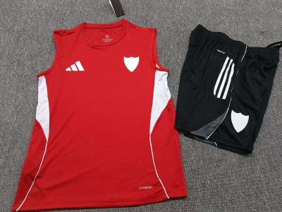 2025/2026 Sevilla Vest Training Suit Football 1:1 Thai Quality