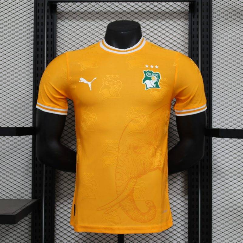 2024 Player Version Ivory Coast Special Edition Football Shirt 1:1 Thai Quality