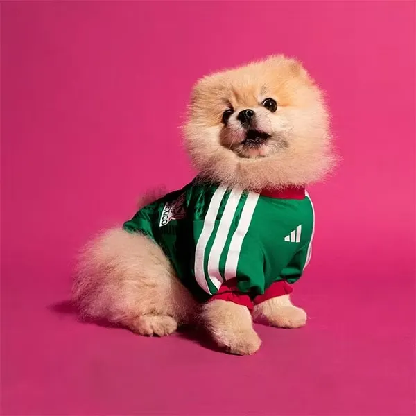 2026 Mexico Home Pet Jersey