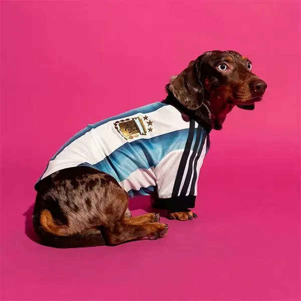 2026 Argentina Home Pet Jersey